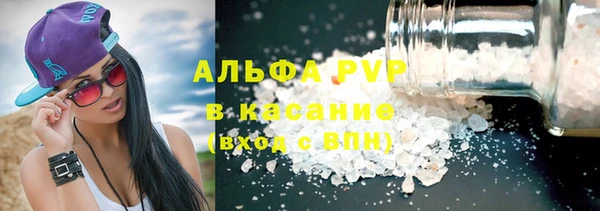 прущие грибы Армянск