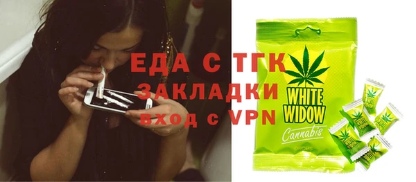 хмурый Аркадак