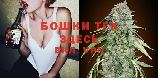 хмурый Аркадак