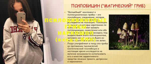 хмурый Аркадак