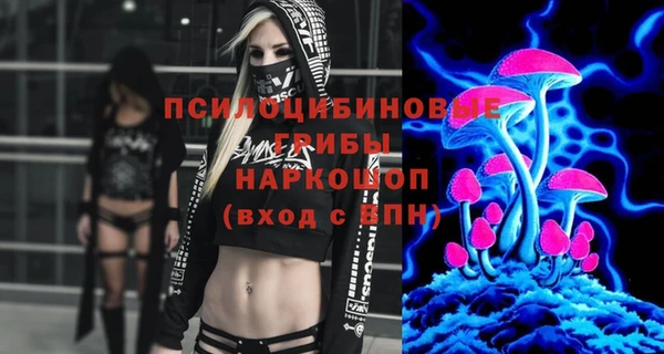 ПСИЛОЦИБИНОВЫЕ ГРИБЫ Алексин