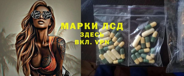 хмурый Аркадак