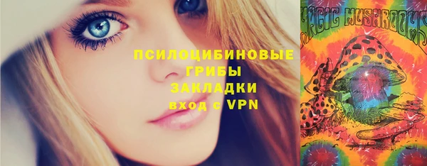 прущие грибы Армянск
